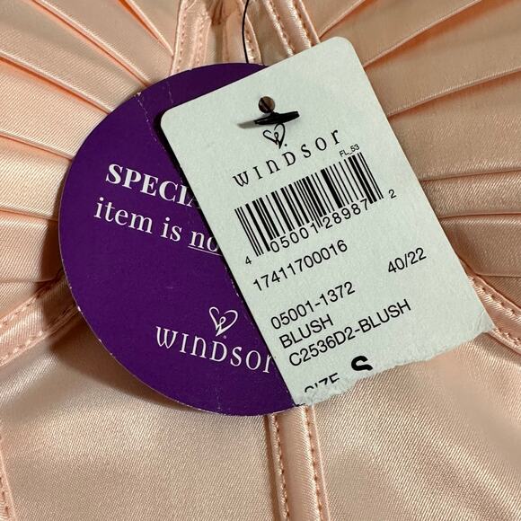 Windsor Blush Pink Corset Tulle Satin Dress Sz S NWt - Picture 5 of 9